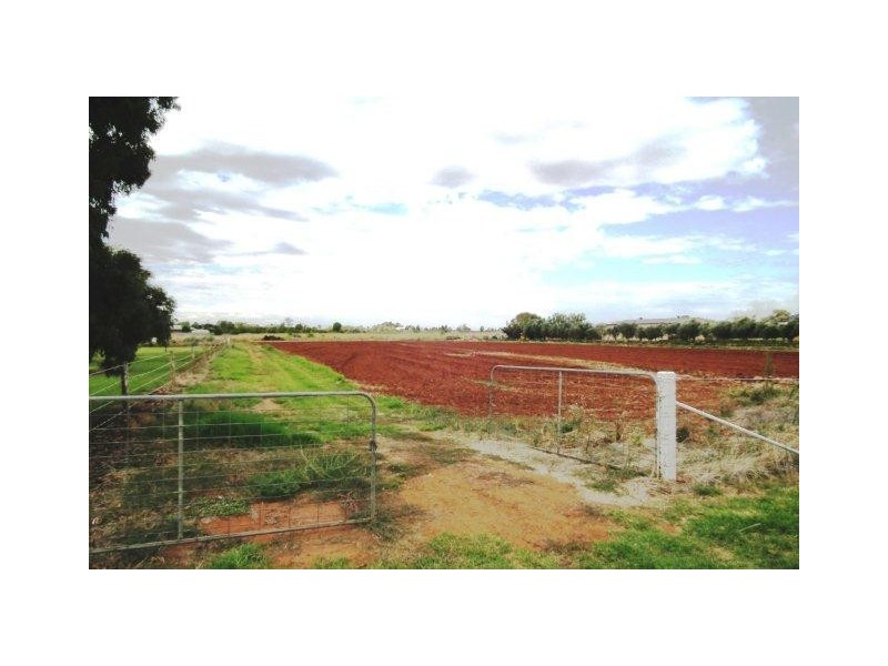 851 Holt Road, Griffith NSW 2680