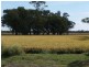 . Farm 20, Coleambally NSW 2707