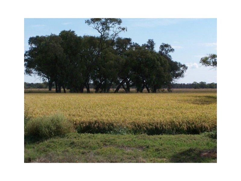 . Farm 20, Coleambally NSW 2707