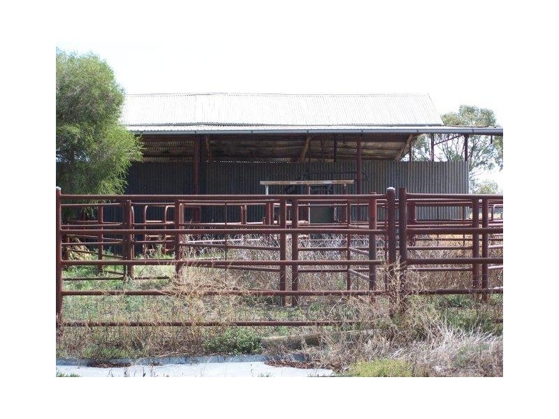. Farm 20, Coleambally NSW 2707