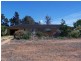 “Poorinda” Farm 544, Coleambally NSW 2707