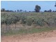 “Poorinda” Farm 544, Coleambally NSW 2707