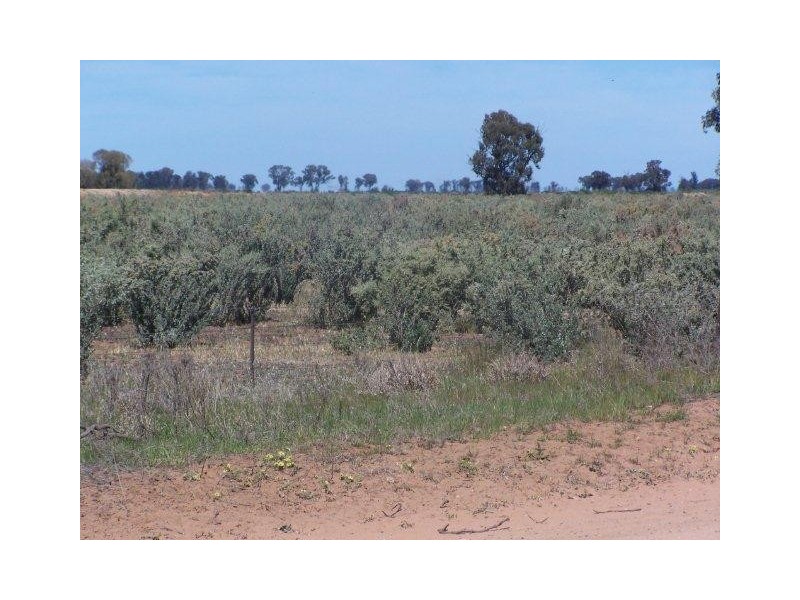 “Poorinda” Farm 544, Coleambally NSW 2707
