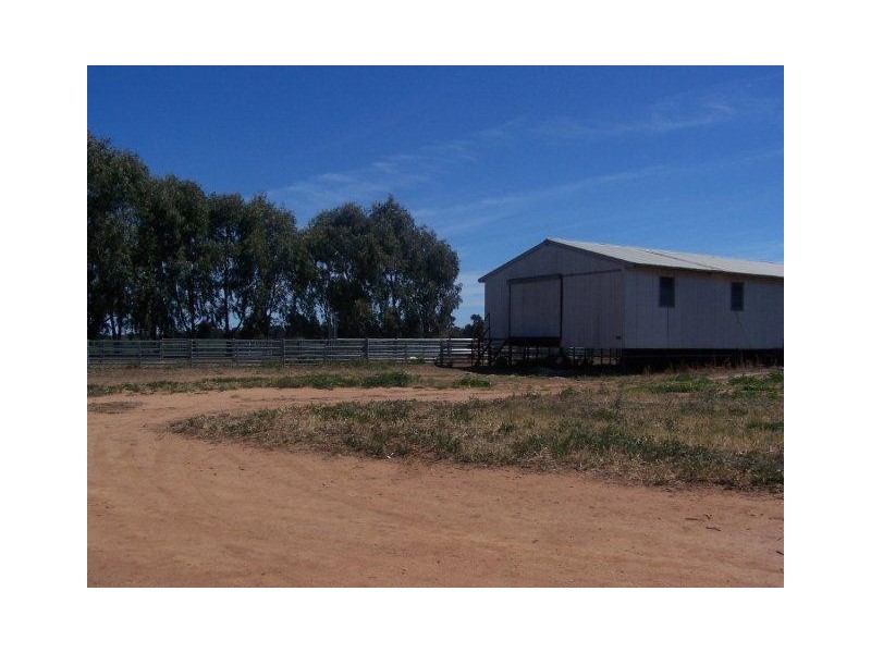 “Poorinda” Farm 544, Coleambally NSW 2707