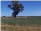 “Poorinda” Farm 544, Coleambally NSW 2707