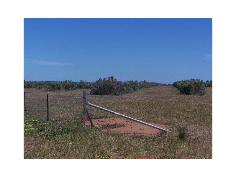 “Poorinda” Farm 544, Coleambally NSW 2707