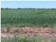 “Poorinda” Farm 544, Coleambally NSW 2707