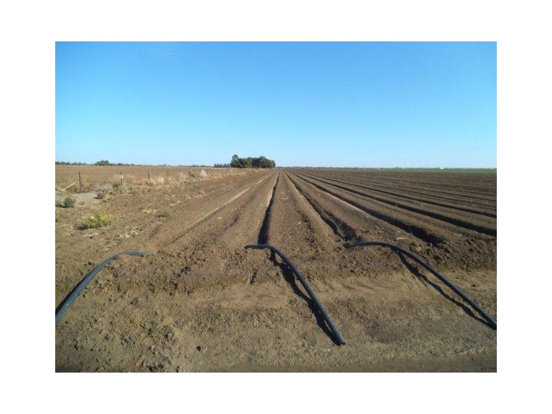 Farm 2397 Gum Creek Road, Benerembah NSW 2680