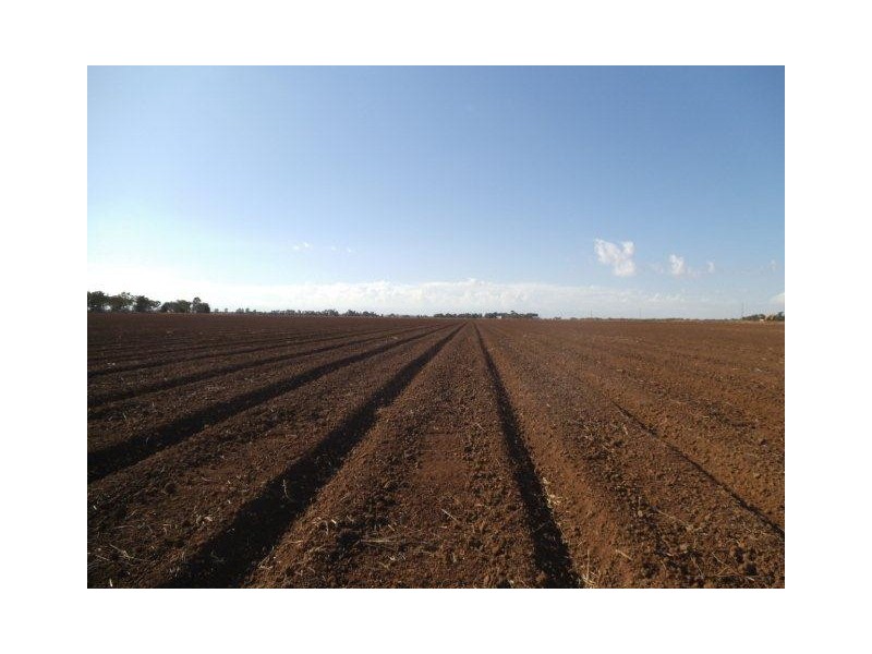 Farm 2397 Gum Creek Road, Benerembah NSW 2680