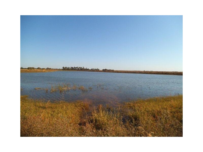 Farm 2397 Gum Creek Road, Benerembah NSW 2680