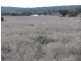 Farm 2762 McCann Road (off Lakes Road), Lake Wyangan NSW 2680