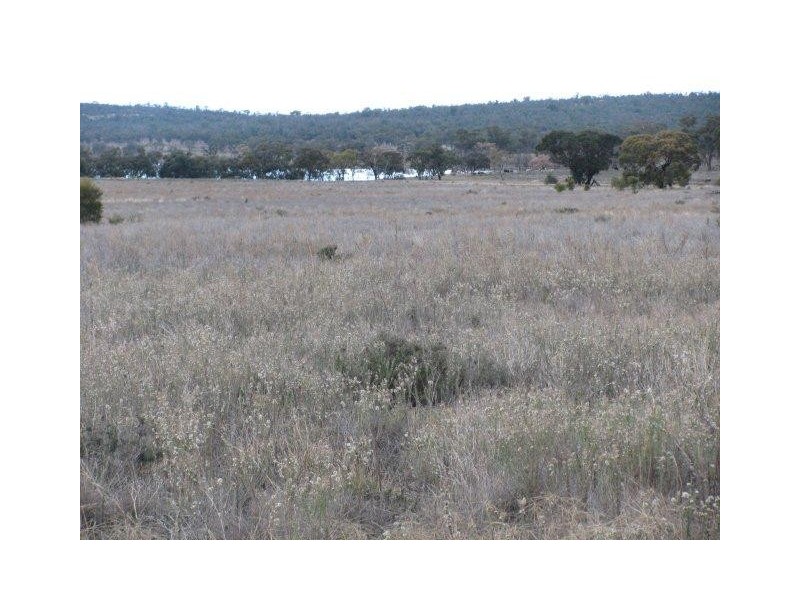 Farm 2762 McCann Road (off Lakes Road), Lake Wyangan NSW 2680