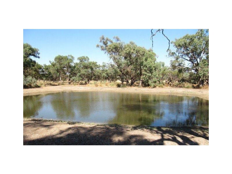 Farm 2762 McCann Road (off Lakes Road), Lake Wyangan NSW 2680
