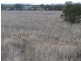 Farm 2762 McCann Road (off Lakes Road), Lake Wyangan NSW 2680