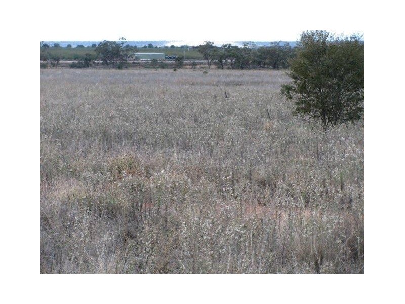 Farm 2762 McCann Road (off Lakes Road), Lake Wyangan NSW 2680