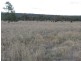 Farm 2762 McCann Road (off Lakes Road), Lake Wyangan NSW 2680