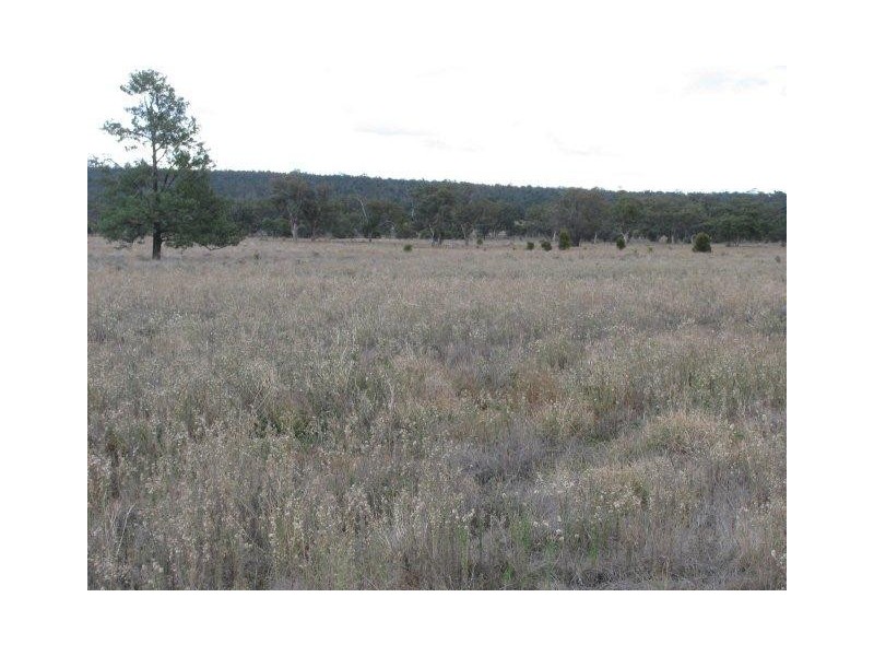 Farm 2762 McCann Road (off Lakes Road), Lake Wyangan NSW 2680
