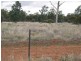 Farm 2762 McCann Road (off Lakes Road), Lake Wyangan NSW 2680