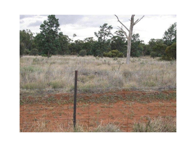 Farm 2762 McCann Road (off Lakes Road), Lake Wyangan NSW 2680