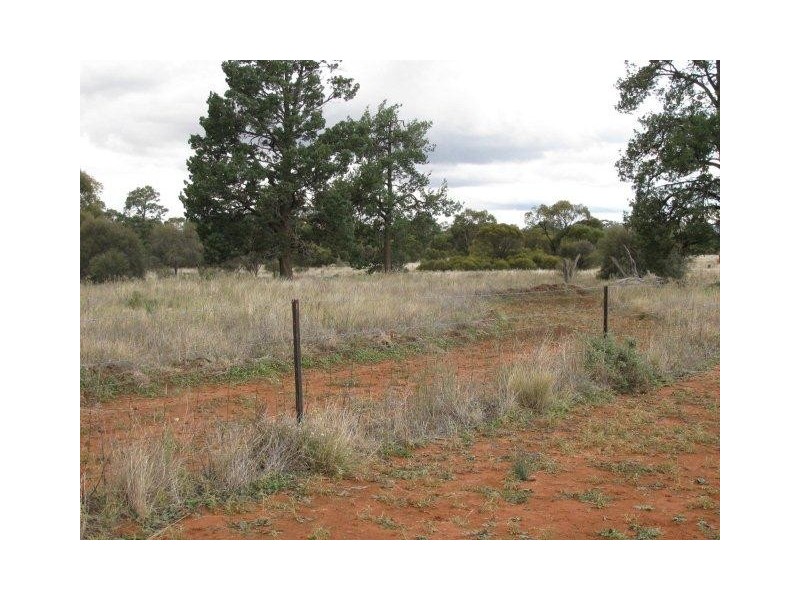 Farm 2762 McCann Road (off Lakes Road), Lake Wyangan NSW 2680