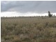 Farm 2762 McCann Road (off Lakes Road), Lake Wyangan NSW 2680