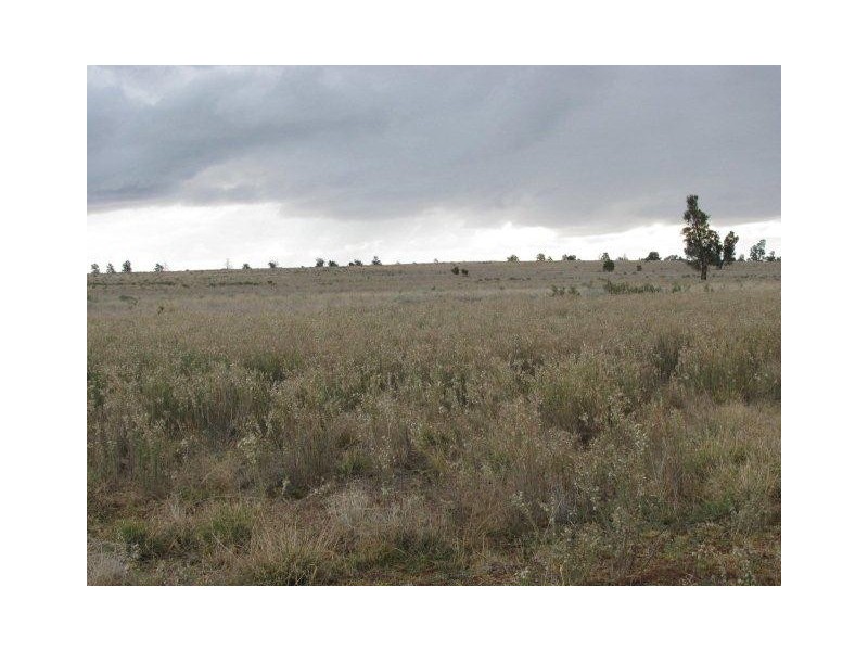 Farm 2762 McCann Road (off Lakes Road), Lake Wyangan NSW 2680