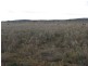 Farm 2762 McCann Road (off Lakes Road), Lake Wyangan NSW 2680