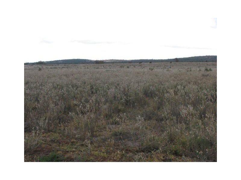 Farm 2762 McCann Road (off Lakes Road), Lake Wyangan NSW 2680