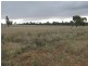 Farm 2762 McCann Road (off Lakes Road), Lake Wyangan NSW 2680