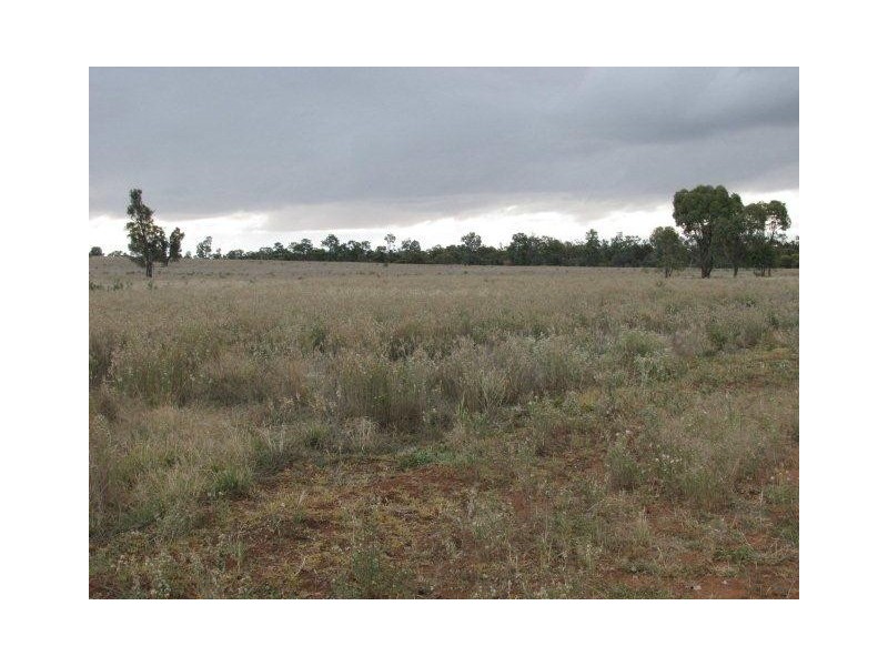 Farm 2762 McCann Road (off Lakes Road), Lake Wyangan NSW 2680