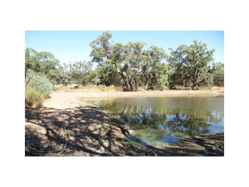 Farm 2762 McCann Road (off Lakes Road), Lake Wyangan NSW 2680