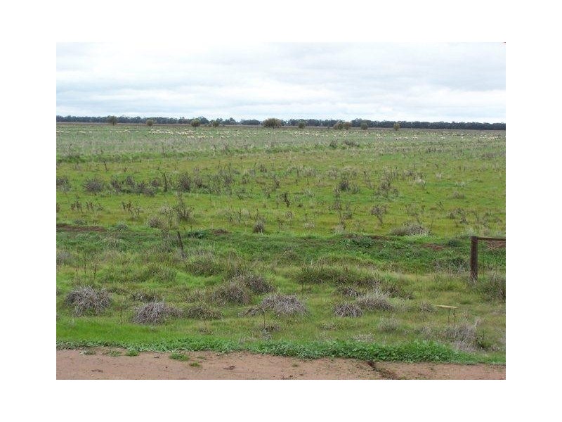 Farms 661 and 663 Kook Road, Coleambally NSW 2707