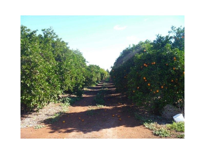 “Norwood” Monia Gap Road, Hillston NSW 2675