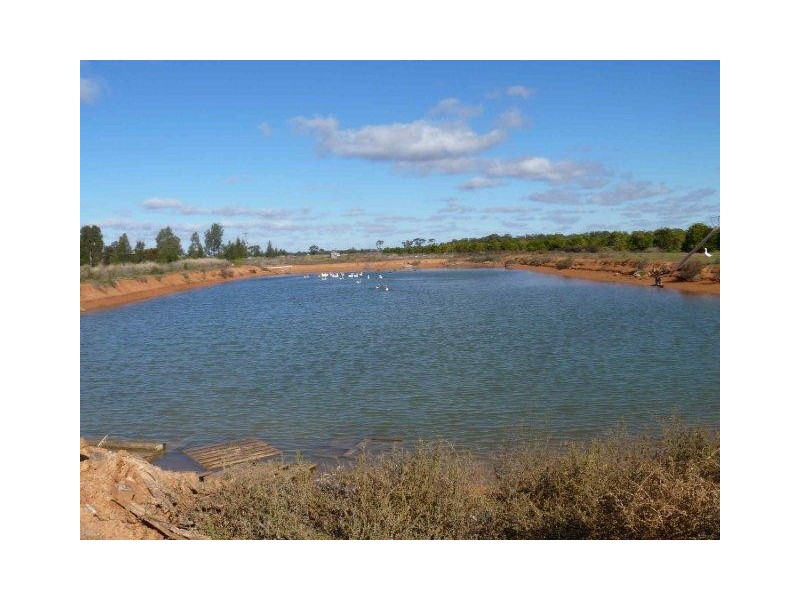 “Norwood” Monia Gap Road, Hillston NSW 2675