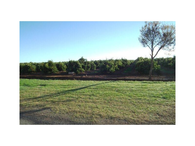 24 Leonard Road, Hanwood NSW 2680