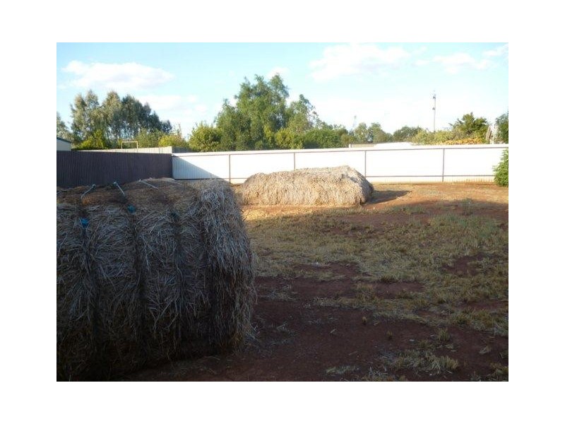 75 Molesworth Street, Hillston NSW 2675