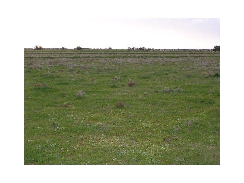 . Farm 564, Coleambally NSW 2707
