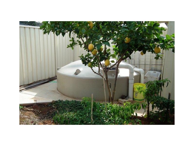 41 Verri Street, Griffith NSW 2680