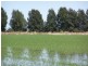 . Farm 558, Coleambally NSW 2707