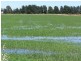 . Farm 558, Coleambally NSW 2707