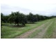 Farm 1306 Kidman Way, Tharbogang NSW 2680