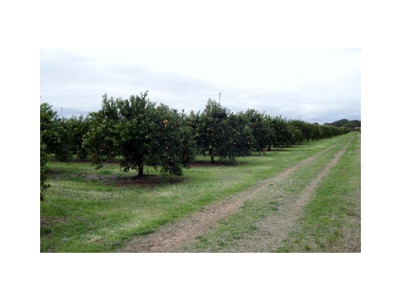 Farm 1306 Kidman Way, Tharbogang NSW 2680