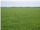 . “Hynrange”, Tabbita NSW 2652