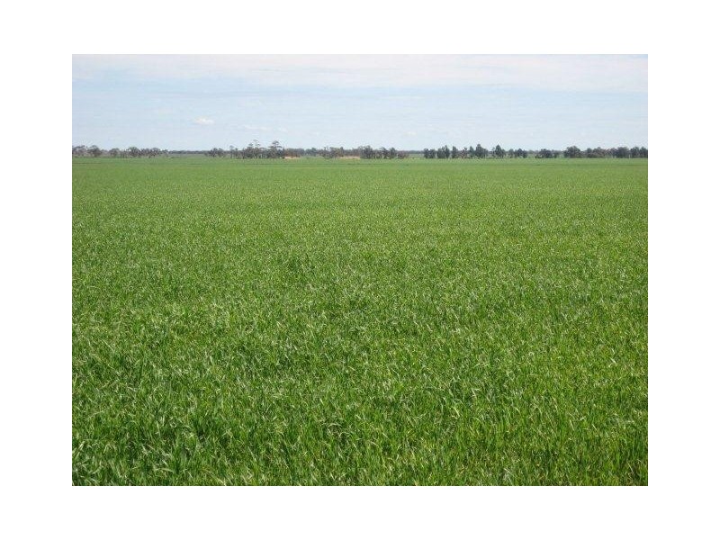 . “Hynrange”, Tabbita NSW 2652