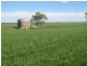 . “Hynrange”, Tabbita NSW 2652