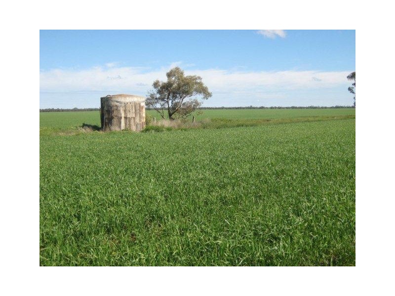 . “Hynrange”, Tabbita NSW 2652