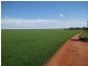 . “Hynrange”, Tabbita NSW 2652