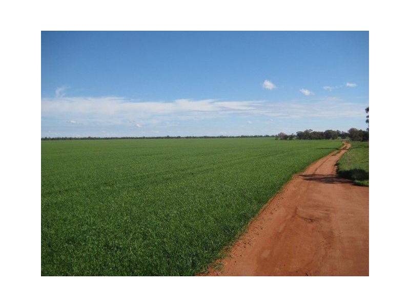. “Hynrange”, Tabbita NSW 2652