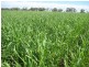 . “Hynrange”, Tabbita NSW 2652