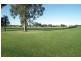 56 Doolan Crescent, Griffith NSW 2680